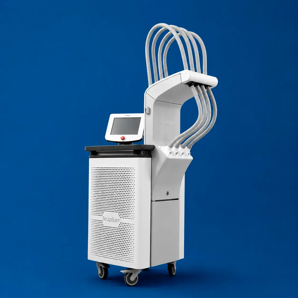 Lafferty Family Care SCULPSURE